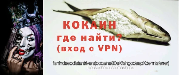 прущие грибы Армянск