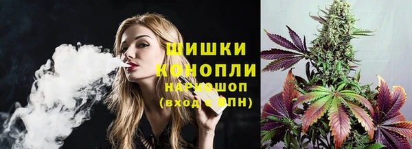 прущий лед Арсеньев